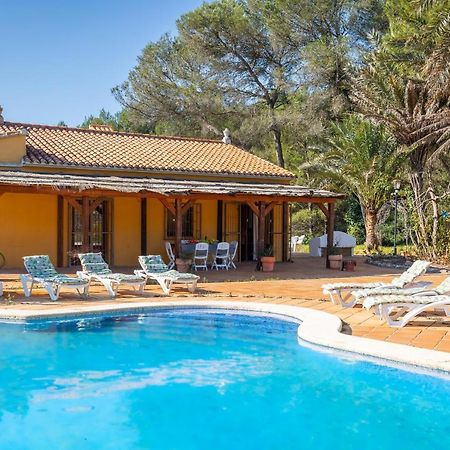 Magical Woods By Fidalsa Villa Simat de la Valldigna Exterior photo