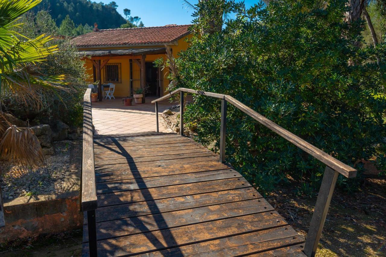 Magical Woods By Fidalsa Villa Simat de la Valldigna Exterior photo